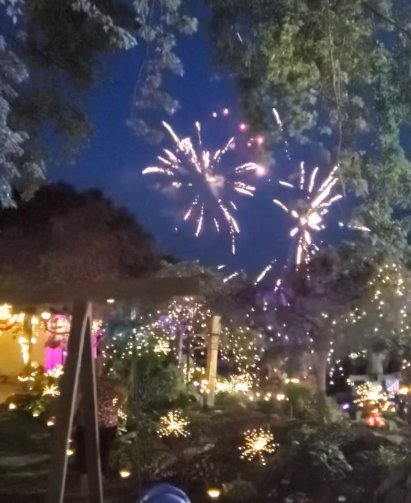 Fireworks over the garden party