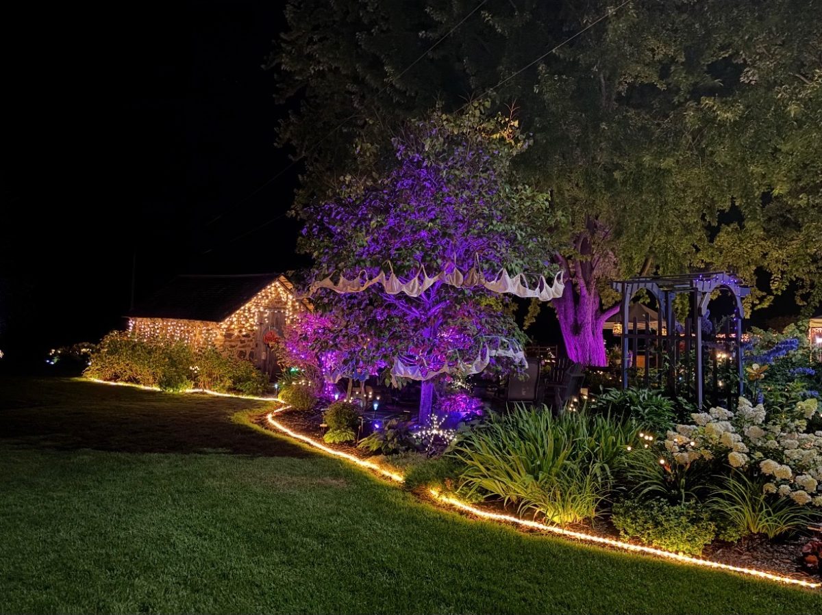 Gardens lit up at night during the Midsummer Night Garden Party